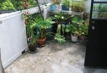 3F No 42 yanqing Road(3)