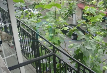 3F No 584 Julu Road(3)