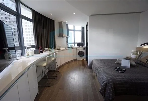 52sqm Studio AGGREGATE Serviced Apartment(2)