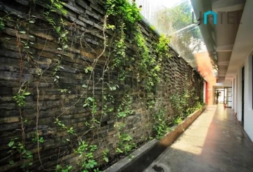 Anfu Warehouse(2)