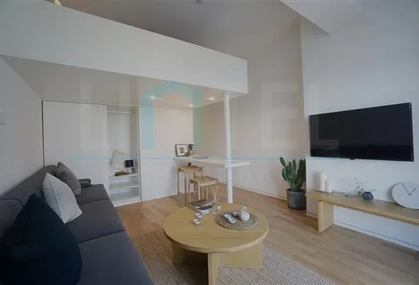 Bigger 1-Bdr Studio Base SUHE(3)