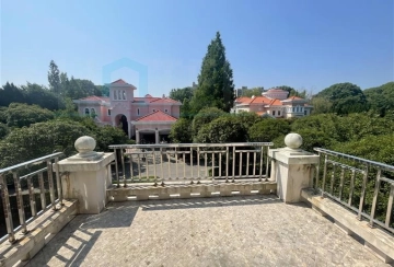 No 二区79 Forest Manor(13)