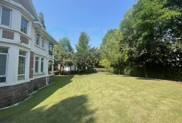No 二区79 Forest Manor(10)