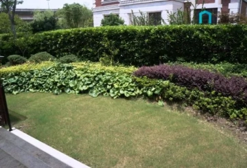 No 106 Eastern Palace(8)