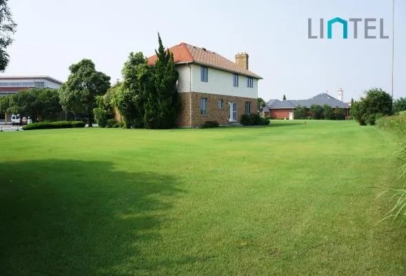 No 107 Shanghai Links(8)
