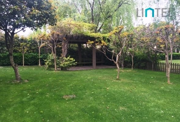 No 108 Area 2 Forest Manor(6)