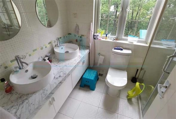 No 125 Violet Country Villa(20)