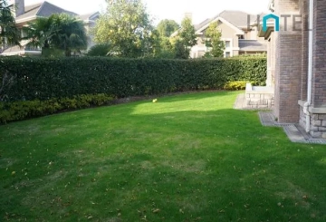No 130 Tiziano Villa(6)