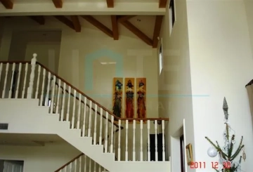 No 156 Tiziano Villa(11)