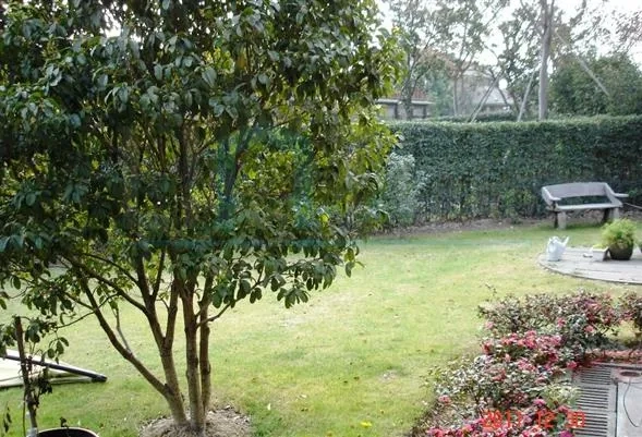 No 156 Tiziano Villa(5)
