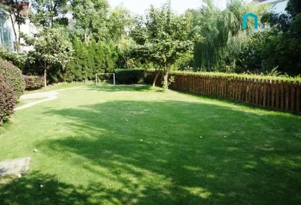 No 163 Green Hills(4)