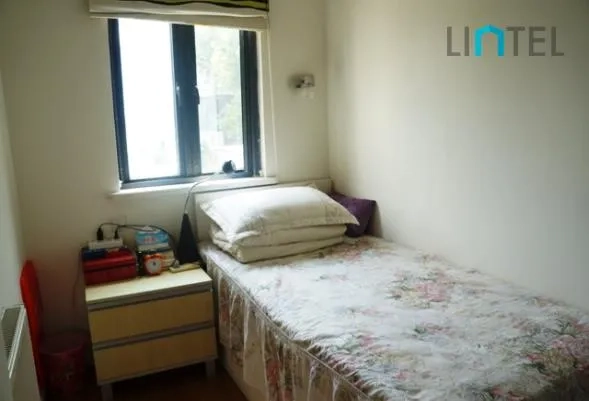 No 19B Town House Garden(13)