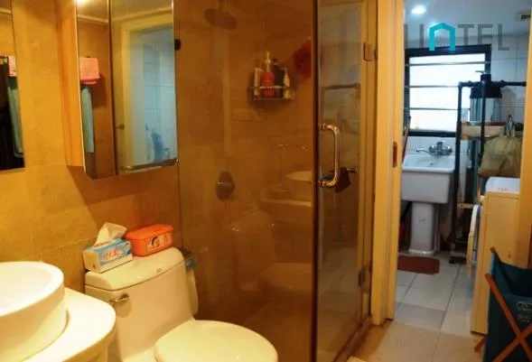 No 19B Town House Garden(7)