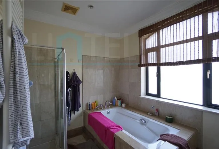 No 22 Lido Villa(14)