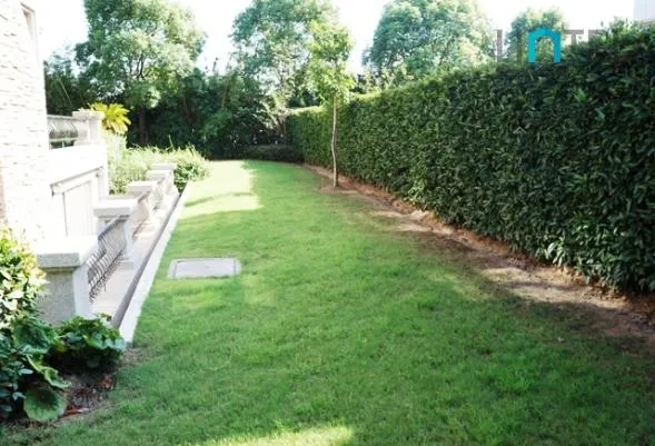 No 237 Buckingham Villa(9)