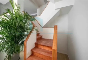 No 30E Town House Garden(5)