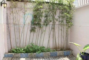 No 34 Lane 316 Jianguo west Road(2)
