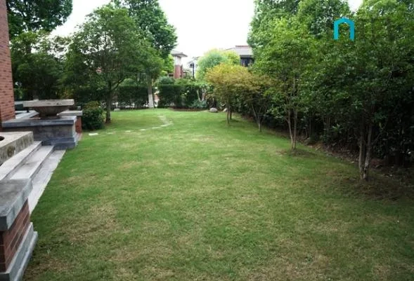 No 36 Dream House(4)