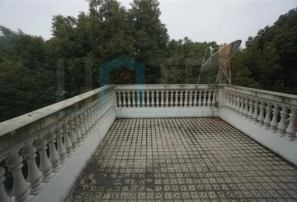 No 36 Shanghai Age Risen Garden(8)