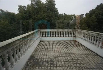 No 36 Shanghai Age Risen Garden(8)