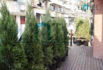 No 37 Lane 405 Zhenning Road(11)