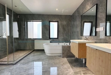 No 373 West Suburb Flourish City(17)