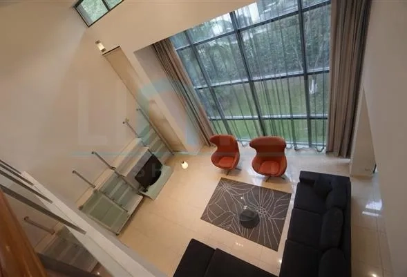 No 43 Modern Villa(4)