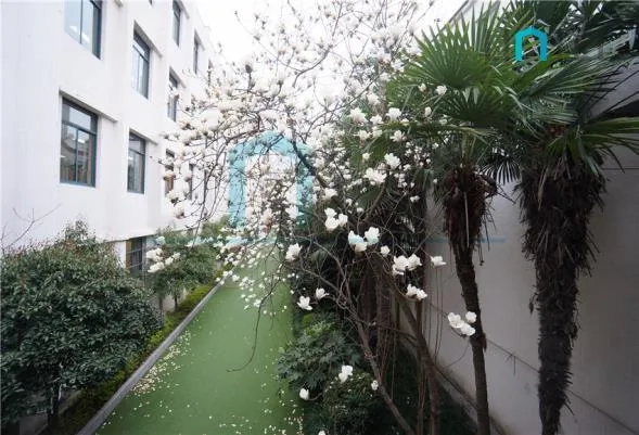 No 430 Changde Road(5)