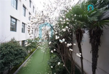 No 430 Changde Road(5)