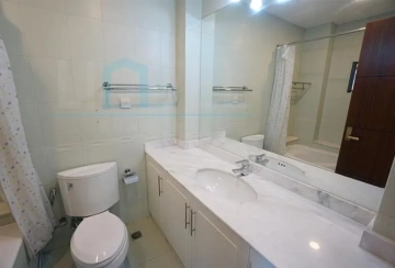 No 50 Modern Villa(19)