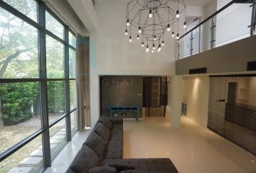 No 53 Modern Villa(4)