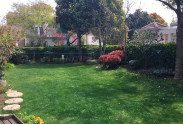 No 53 Sego Villa(3)