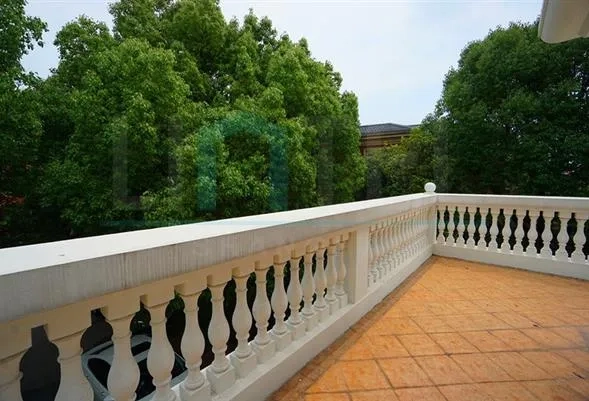 No 55 Area 二 Forest Manor(22)