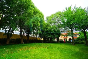 No 55 Area 2 Forest Manor(2)