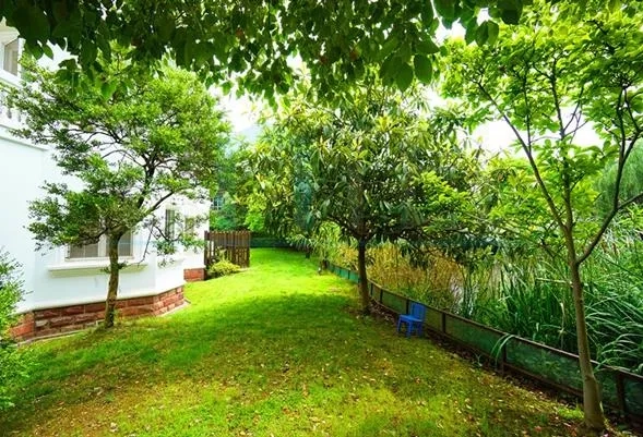 No 55 Area 2 Forest Manor(3)