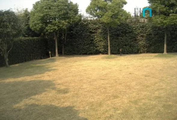 No 552 Jiushi West Suburb Garden(6)