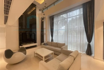 No 59 Modern Villa(2)