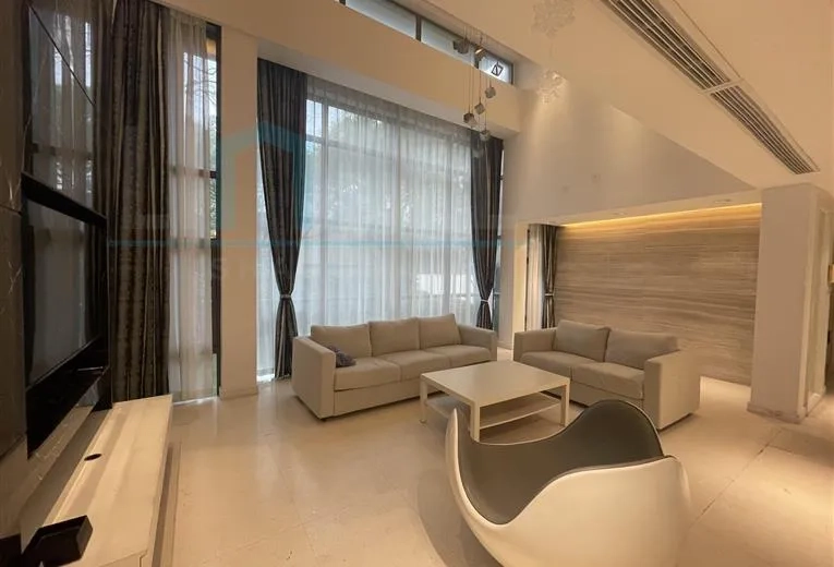 No 59 Modern Villa(3)