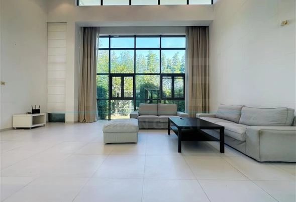 No 67 Modern Villa(3)
