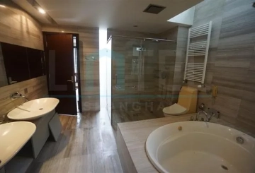 No 70 Modern Villa(14)