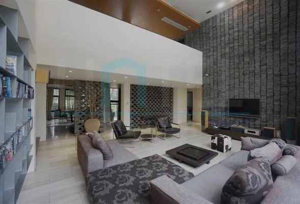 No 70 Modern Villa(4)