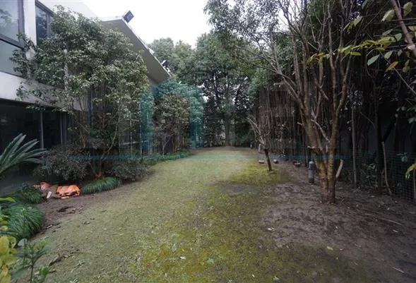 No 70 Modern Villa(7)