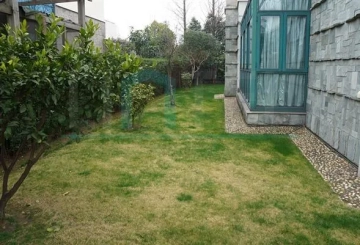 No 71 Garden Inside Garden(3)
