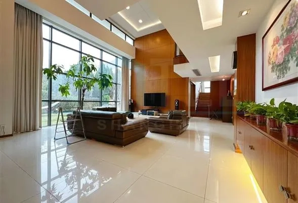 No 75 Modern Villa(3)
