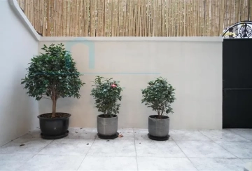 No 79 Lane 205 Chongqing south Road(8)