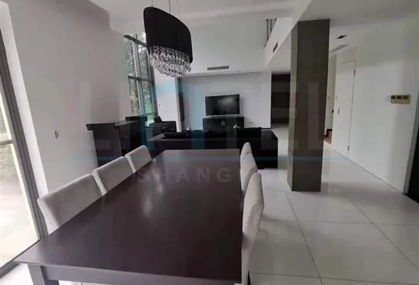 No 79 Modern Villa(5)