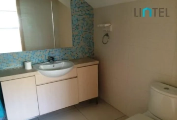 No W60 Westwood Green(6)