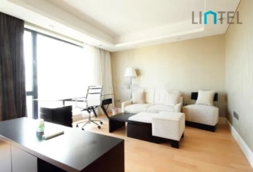 Penthouse Casa Lakeville(7)