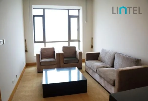 Penthouse Central Residence II(12)