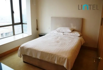 Penthouse Central Residence II(17)